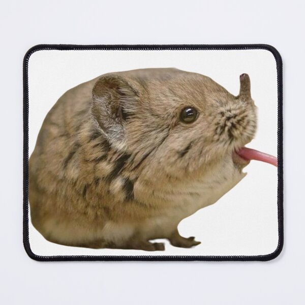 Item preview, Elephant shrew  designed and sold by SillyLittleSnek.
