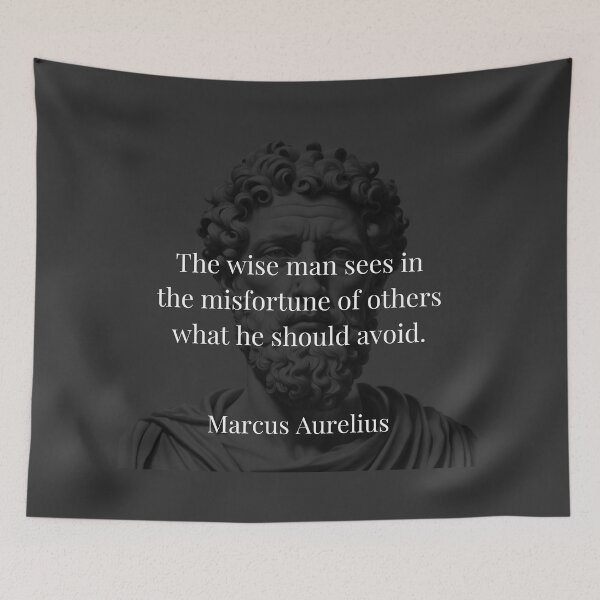 Item preview, Marcus Aurelius on Wisdom and Misfortune designed and sold by DoseOPhilosophy.