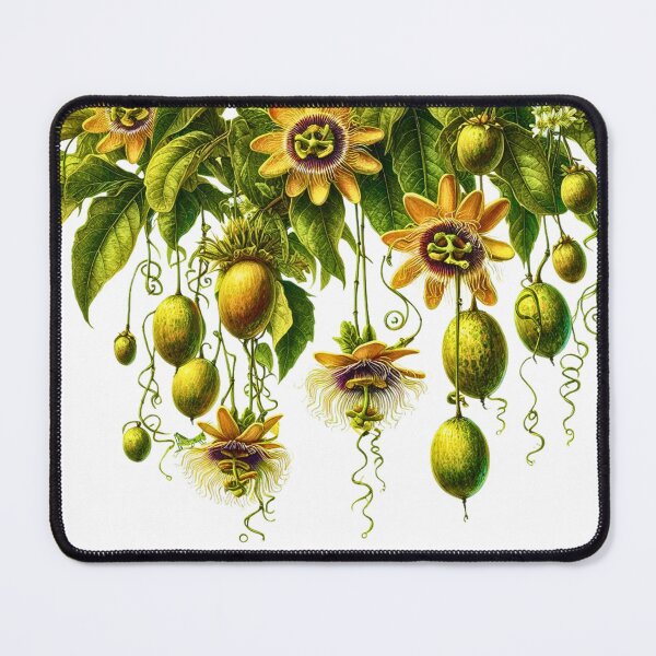 Item preview, Passionfruit Vines with Fruit and Grasshoppers designed and sold by Rowdy Dean.