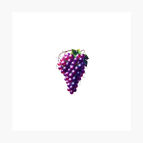Item preview, Bunch of grapes designed and sold by ModederZukunft.