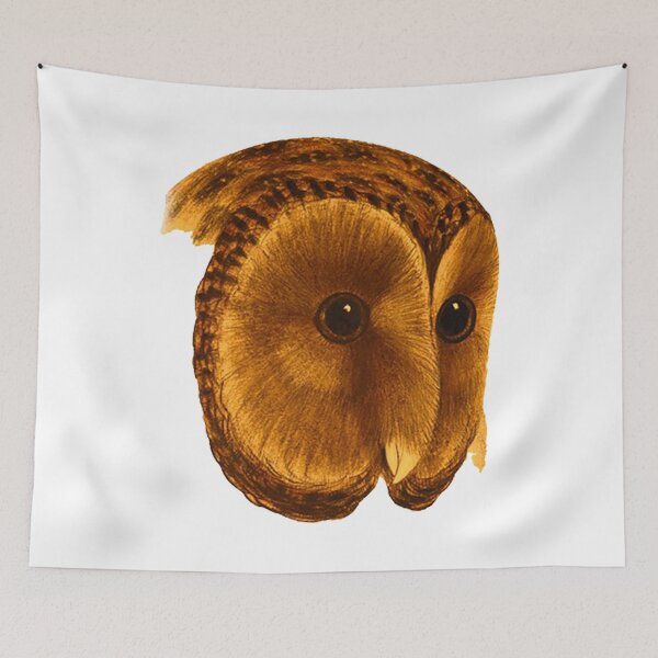 Item preview, Tasmanian masked owl designed and sold by QuirkByLgnatius.