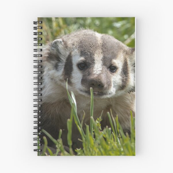 Item preview, Better be badger designed and sold by Anthony Brewer.