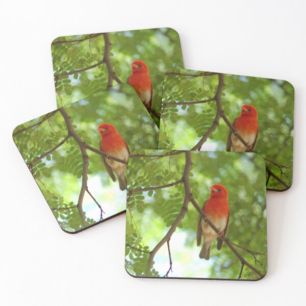 Item preview, REDHEADED WEAVER - Anaplectes rubriceps designed and sold by Magriet Meintjes.