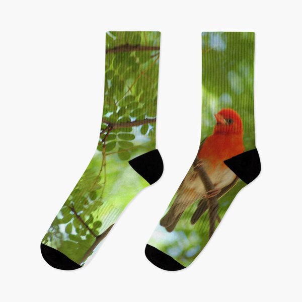 Item preview, REDHEADED WEAVER - Anaplectes rubriceps designed and sold by Magriet Meintjes.