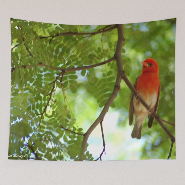 Item preview, REDHEADED WEAVER - Anaplectes rubriceps designed and sold by Magriet Meintjes.