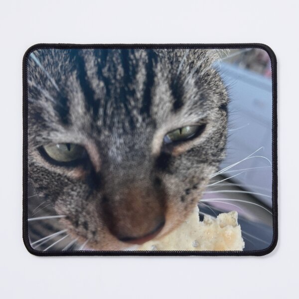 Item preview, Tiny consumes a cracker  designed and sold by Normie-.