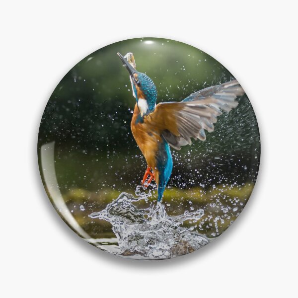 Item preview, Reflexiones de un martín pescador designed and sold by FXST.