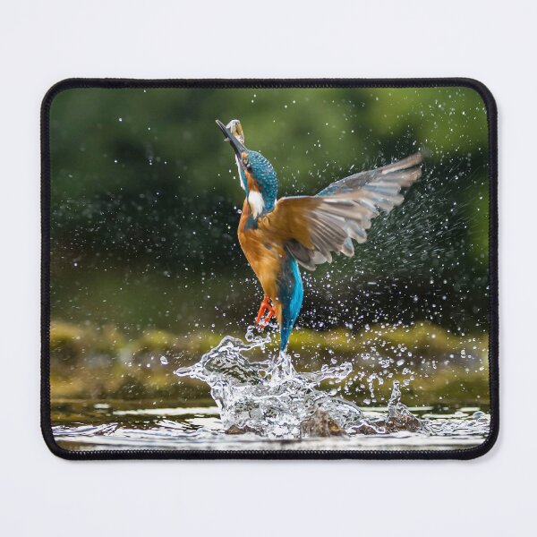 Item preview, Reflections of a Kingfisher designed and sold by FXST.