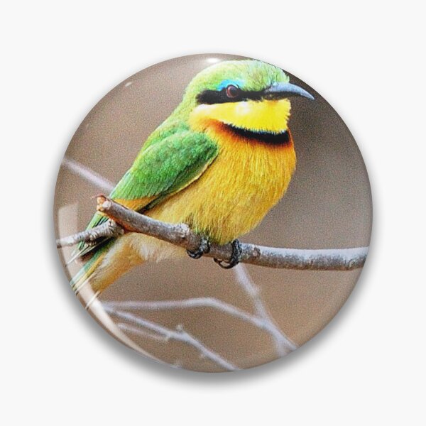 Item preview, LITTLE  BEE-EATER -  Merops pusillus designed and sold by Magriet Meintjes.