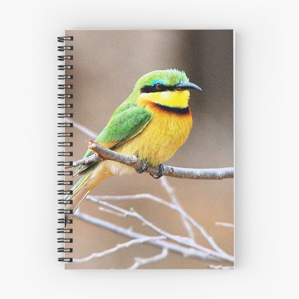 Item preview, LITTLE  BEE-EATER -  Merops pusillus designed and sold by Magriet Meintjes.