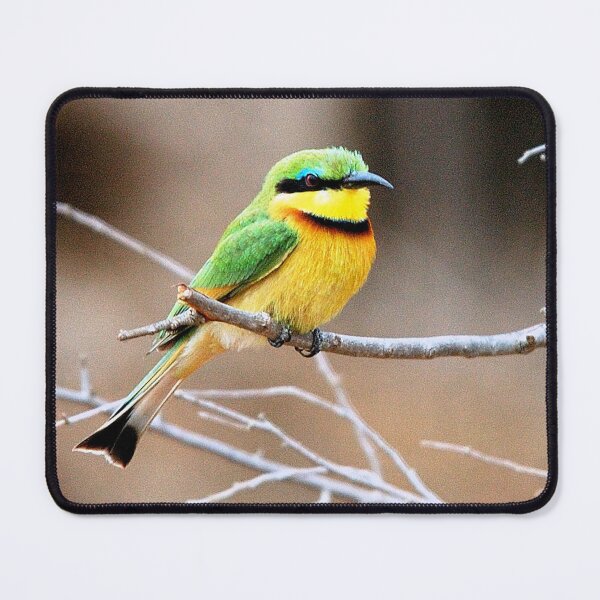 Item preview, LITTLE BEE-EATER - Merops pusillus designed and sold by Magriet Meintjes.