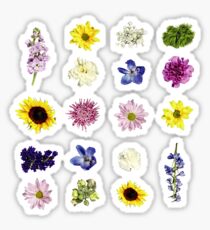 Lineare Blume | Blumenmuster Sticker