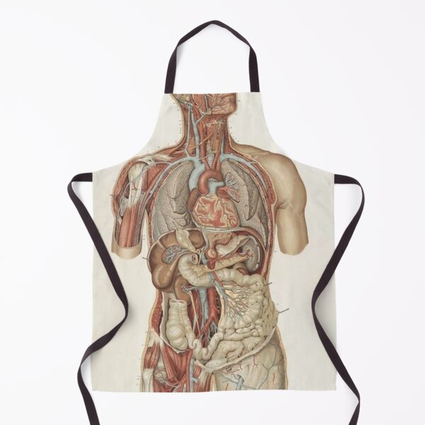 Item preview, Angiology Knoweldge System designed and sold by Weird-arts.