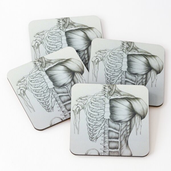 Item preview, Sketch Angiology Knoweldge System designed and sold by Weird-arts.