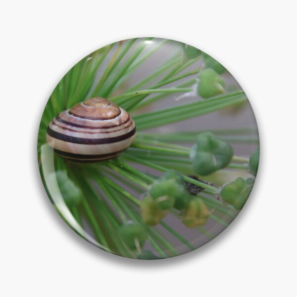 Item preview, Small snail resting on allium stems designed and sold by Gaynor-dI.