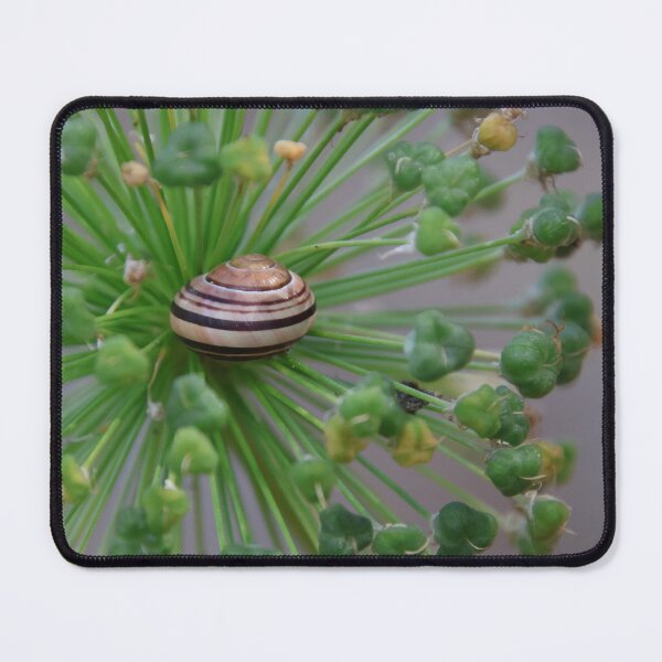 Item preview, Small snail resting on allium stems designed and sold by Gaynor-dI.