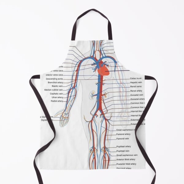 Item preview, The Circulatory System Knowledge designed and sold by Weird-arts.