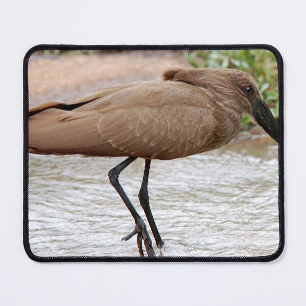 Item preview, HAMMERHEAD - HAMERKOP - Scopus umbretta designed and sold by Magriet Meintjes.