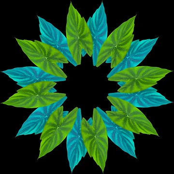 Artwork thumbnail, leaf mandala by Meo Design