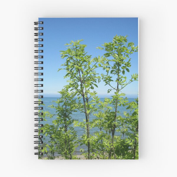 Item preview, Leafy Stems designed and sold by Emily Hermann.