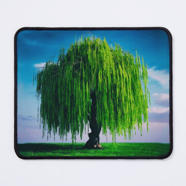 Item preview, Willow Tree designed and sold by DigitalDreams cape1445.