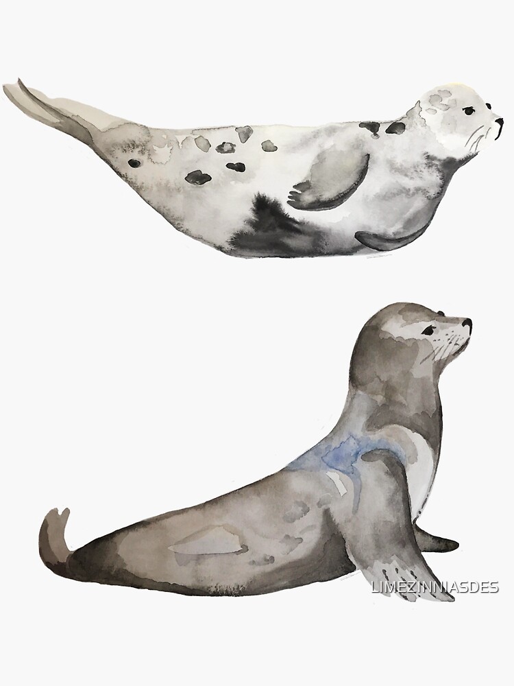 La Jolla's Seal Problem 