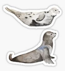 Seals of La Jolla Sticker
