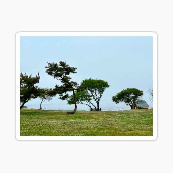 Item preview, Chandler Hovey Park in the fog designed and sold by Ruth Curtis.