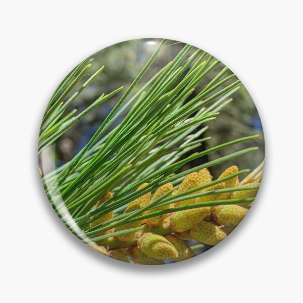Item preview, Redwood Tree Pollen designed and sold by SafariByMarisa.