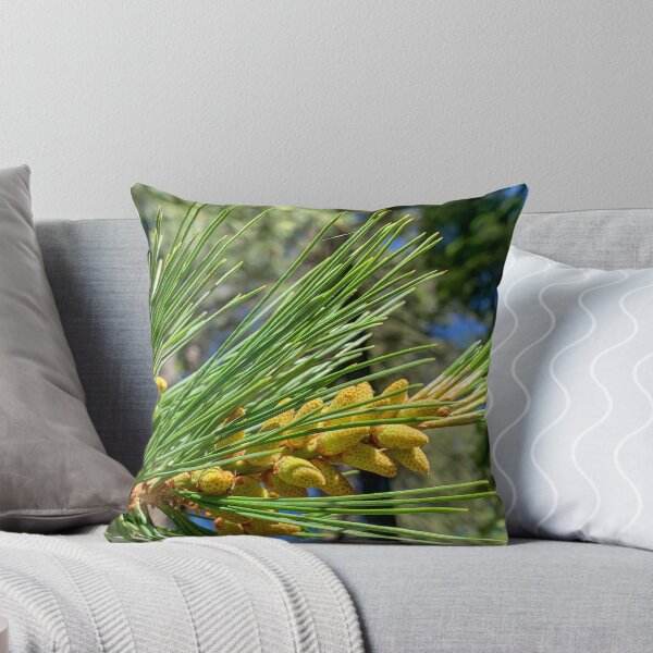 Item preview, Redwood Tree Pollen designed and sold by SafariByMarisa.
