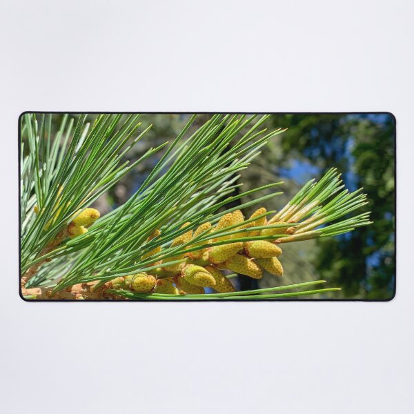 Item preview, Redwood Tree Pollen designed and sold by SafariByMarisa.