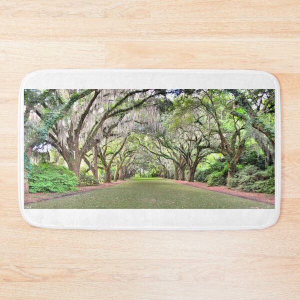 Item preview, A Walk Through The Old Oak Trees designed and sold by LisaWootenPhoto.