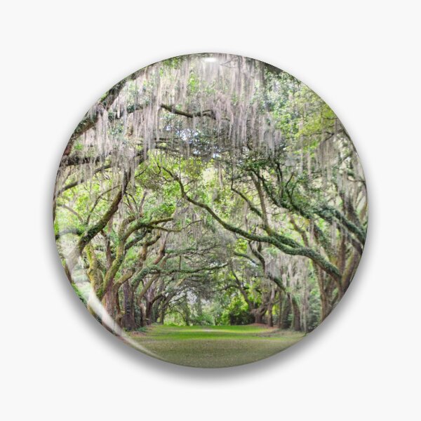Item preview, A Walk Through The Old Oak Trees designed and sold by LisaWootenPhoto.