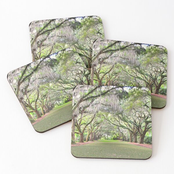 Item preview, A Walk Through The Old Oak Trees designed and sold by LisaWootenPhoto.