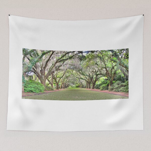 Item preview, A Walk Through The Old Oak Trees designed and sold by LisaWootenPhoto.