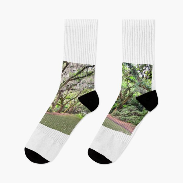 Item preview, A Walk Through The Old Oak Trees designed and sold by LisaWootenPhoto.