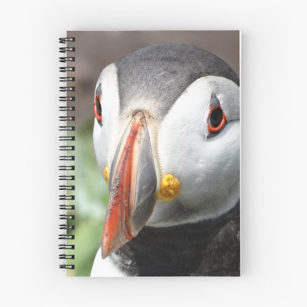 Item preview, Puffin face close-up designed and sold by TwistedClassics.