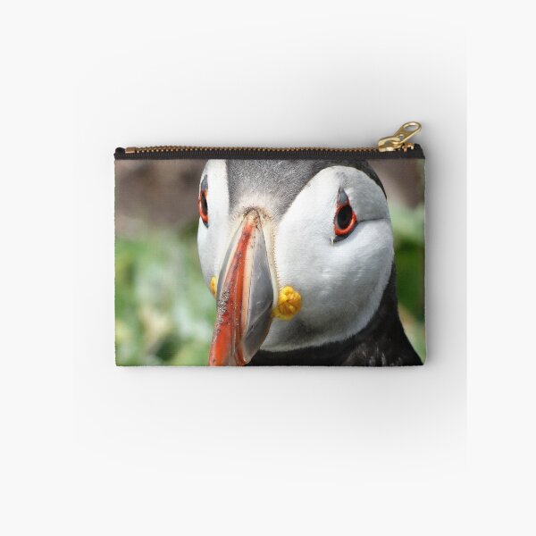 Item preview, Puffin face close-up designed and sold by TwistedClassics.
