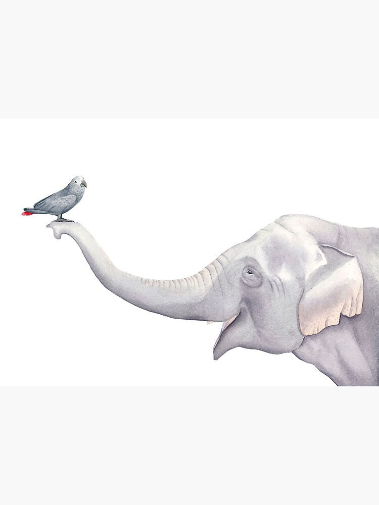 Elephant and Bird