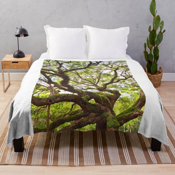 Item preview, Looking Up At The Angel Oak Vertical designed and sold by LisaWootenPhoto.