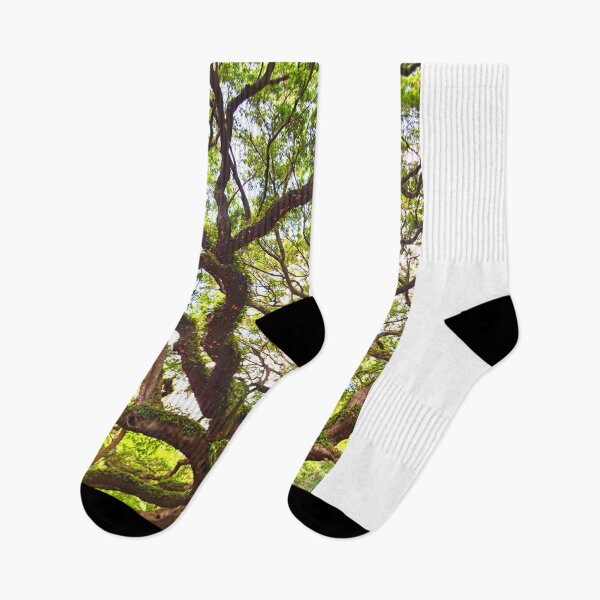Item preview, Looking Up At The Angel Oak Vertical designed and sold by LisaWootenPhoto.