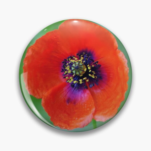 Item preview, The Solitary Poppy designed and sold by Tom McPherson Photography.