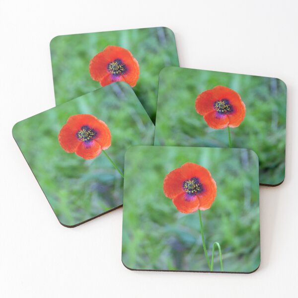 Item preview, The Solitary Poppy designed and sold by Tom McPherson Photography.