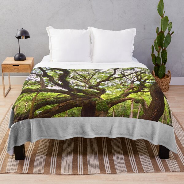 Item preview, Looking Up The Angel Oak designed and sold by LisaWootenPhoto.