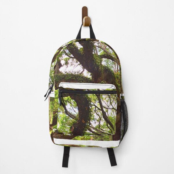 Item preview, Looking Up The Angel Oak designed and sold by LisaWootenPhoto.