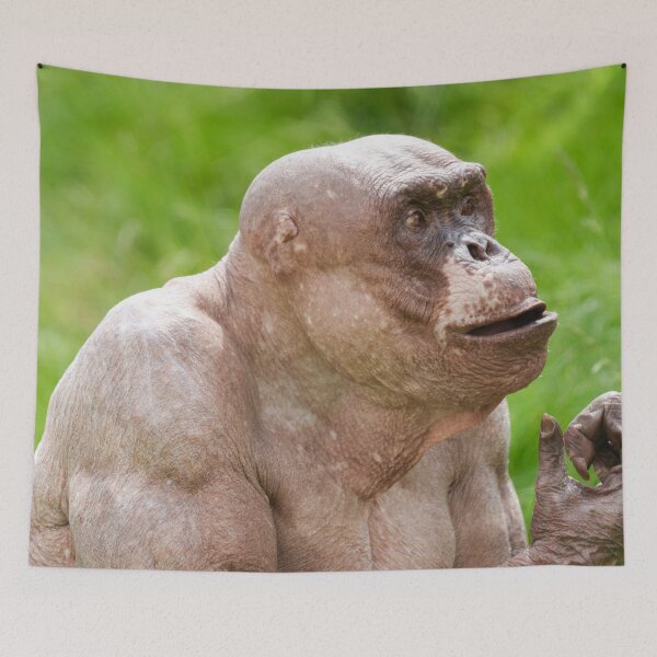 Item preview, Jambo the Hairless Chimp designed and sold by rawshutterbug.