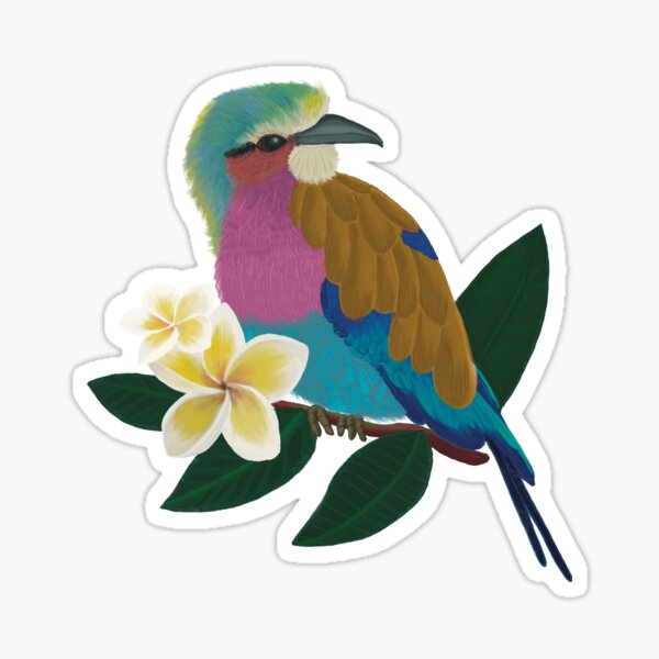 Lilac Breasted Roller Queer Pride Flag Home & Apparel Sticker