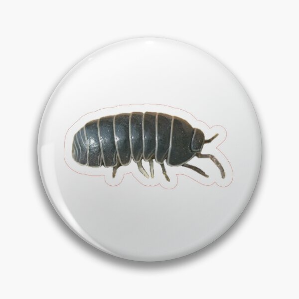 Item preview, land shrimp (aka the roly-poly) designed and sold by NattyNancy.