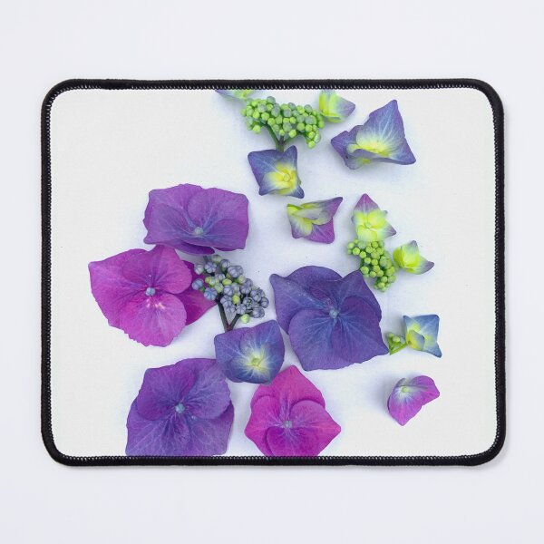 Item preview, Hydrangeas from violet to yellow designed and sold by Sandra Lack.