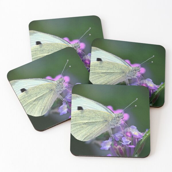 Item preview, Large White Butterfly Macro designed and sold by Tom McPherson Photography.